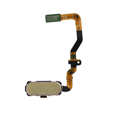 Galaxy S7 Home Button with Flex Cable (Gold)