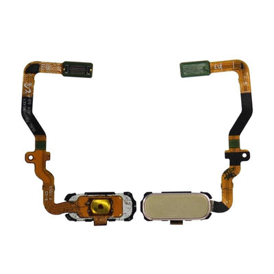 Galaxy S7 Home Button with Flex Cable (Gold)